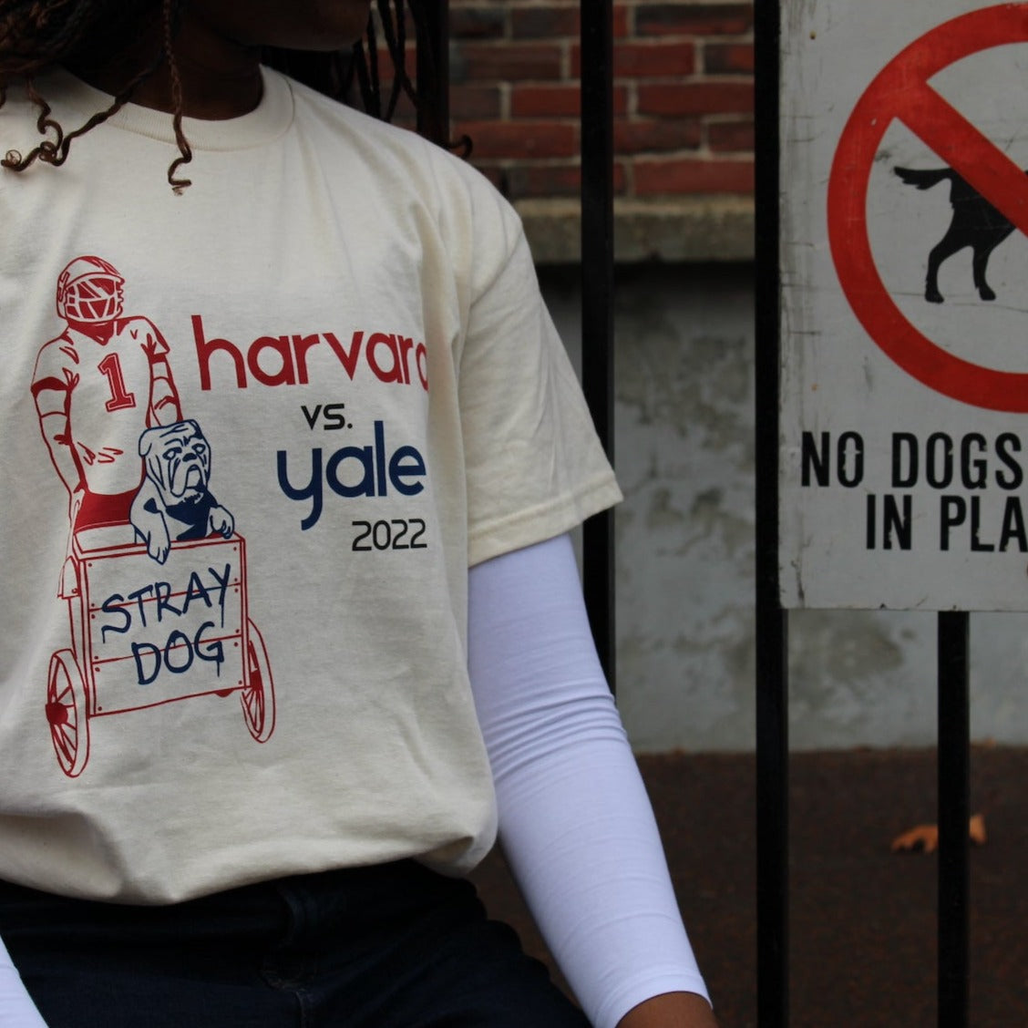 Stray Dog - T-Shirt