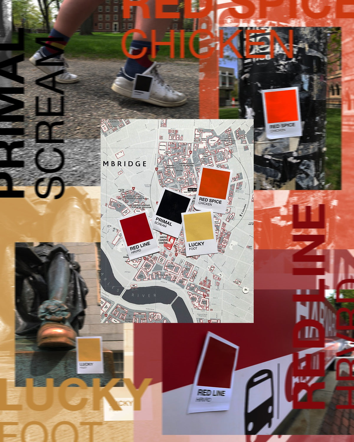 Red Line Pantone - Sticker