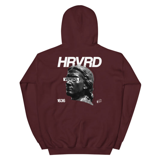 Blinded by the Truth - Hoodie (Maroon)